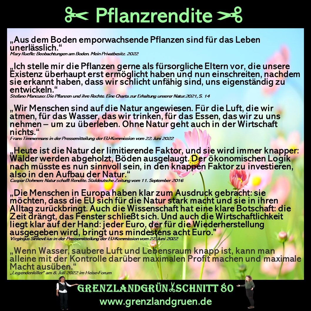 80 Pflanzrendite.jpg